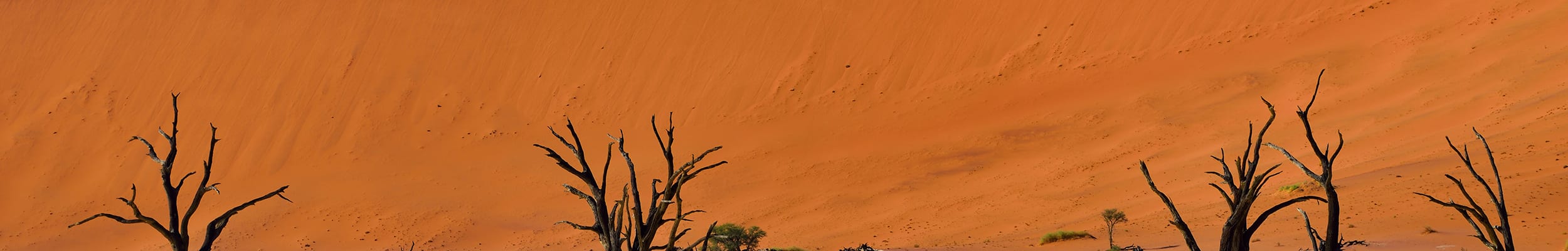 Deadvlei