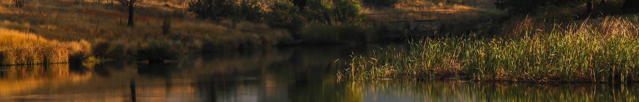 Introduction to Flyfishing