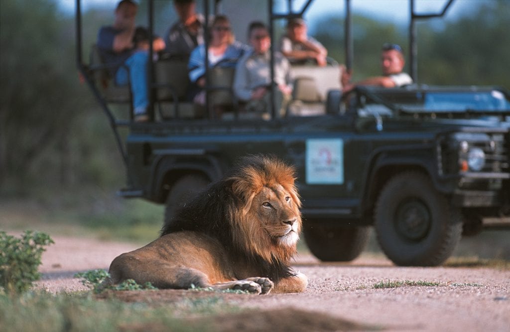 Game Drive 04