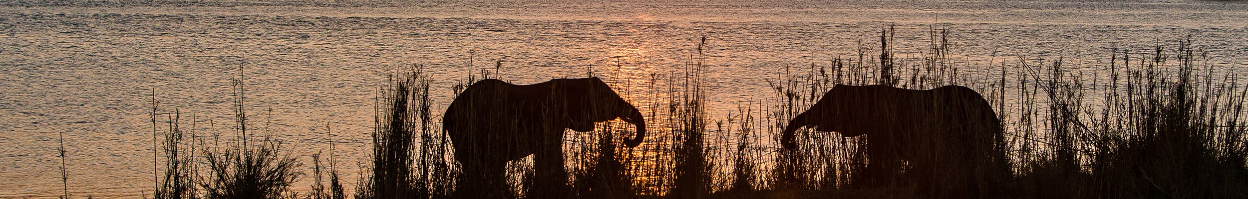 Madikwe Reserve