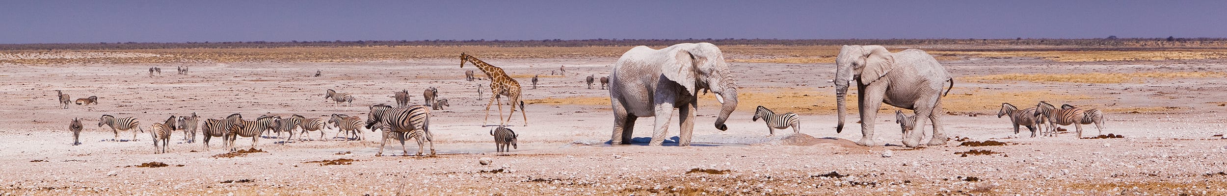 Etosha National Park