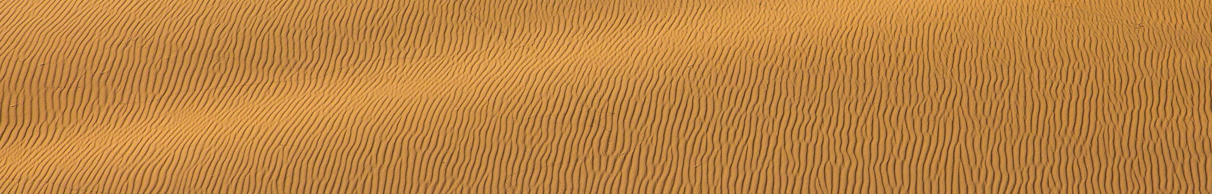 Namib Desert