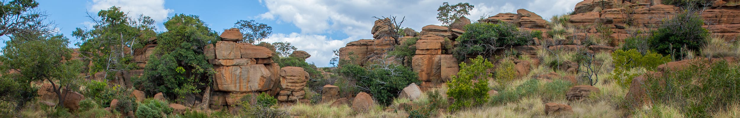 Magaliesberg