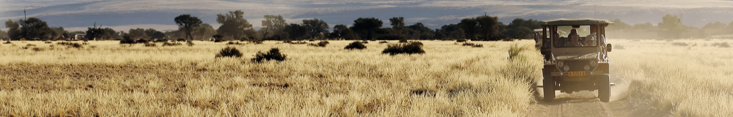 Pilanesberg Reserve