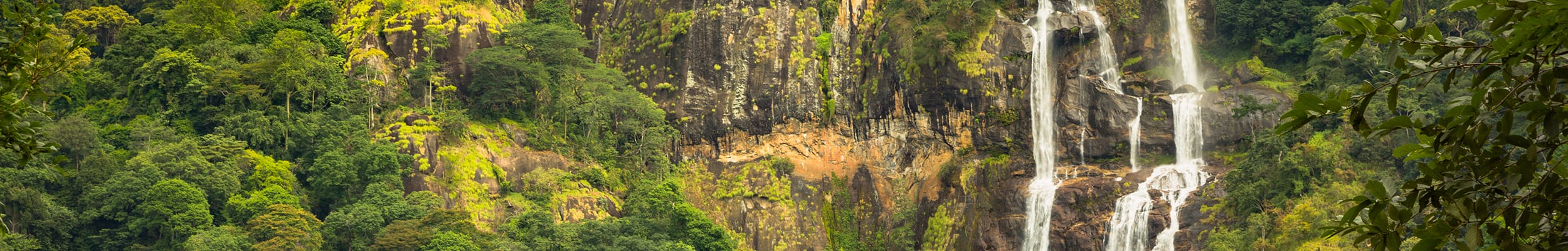 Udzungwa Mountains