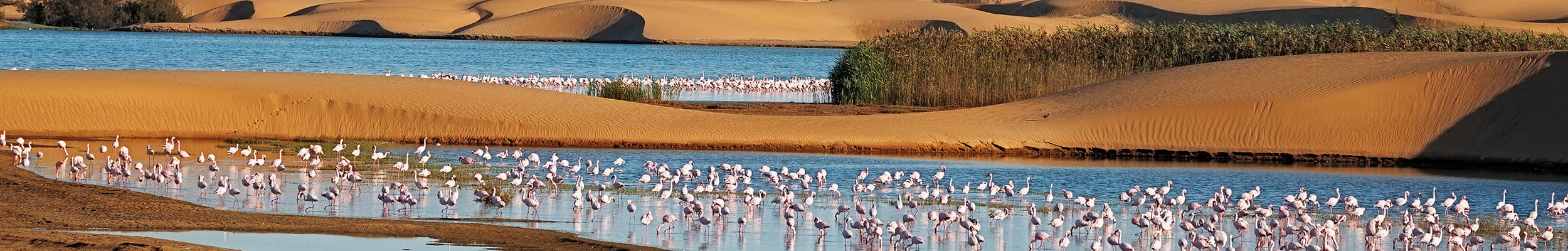 Walvis Bay